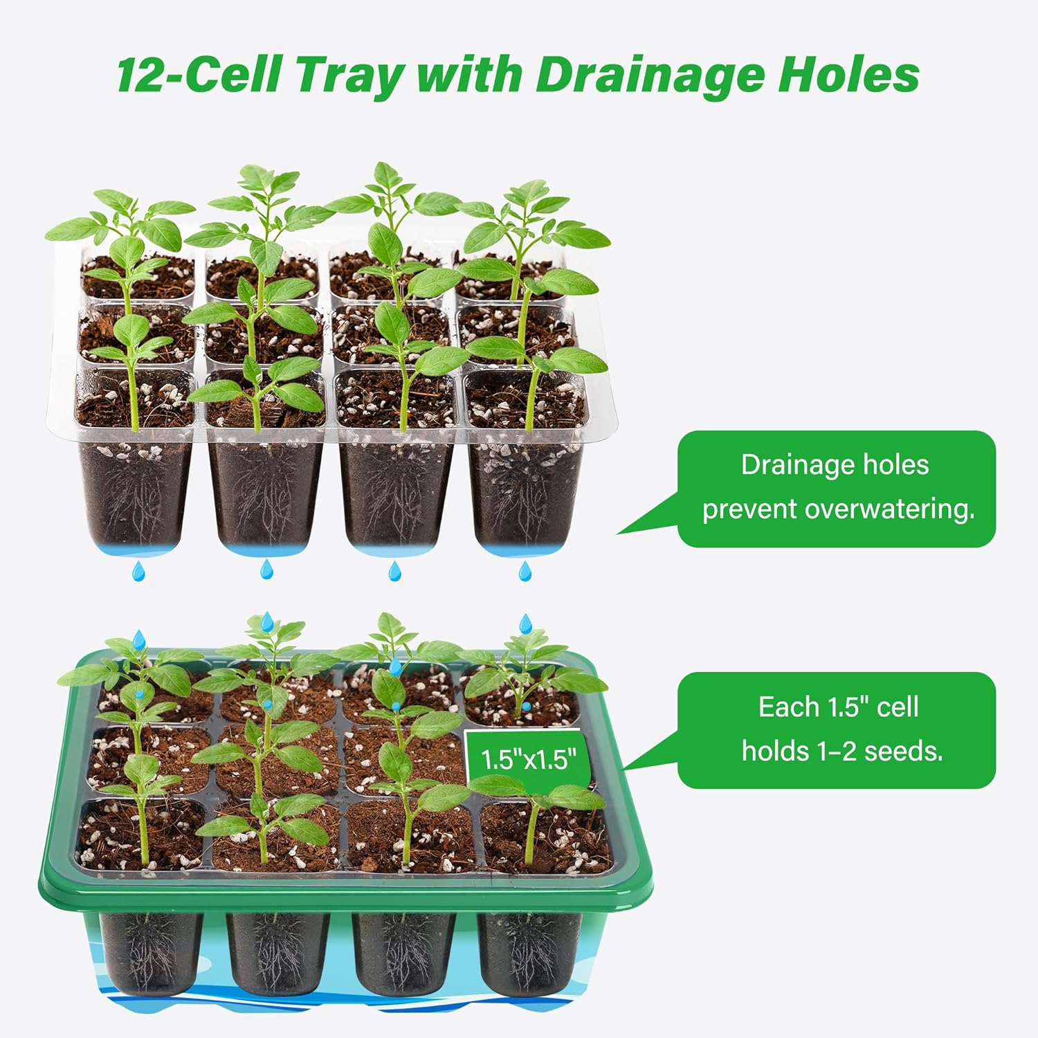 ชุดเริ่มต้นเพาะเมล็ดพร้อมโดมคว - Dome Propagation Kit บทวิจารณ์และราคา