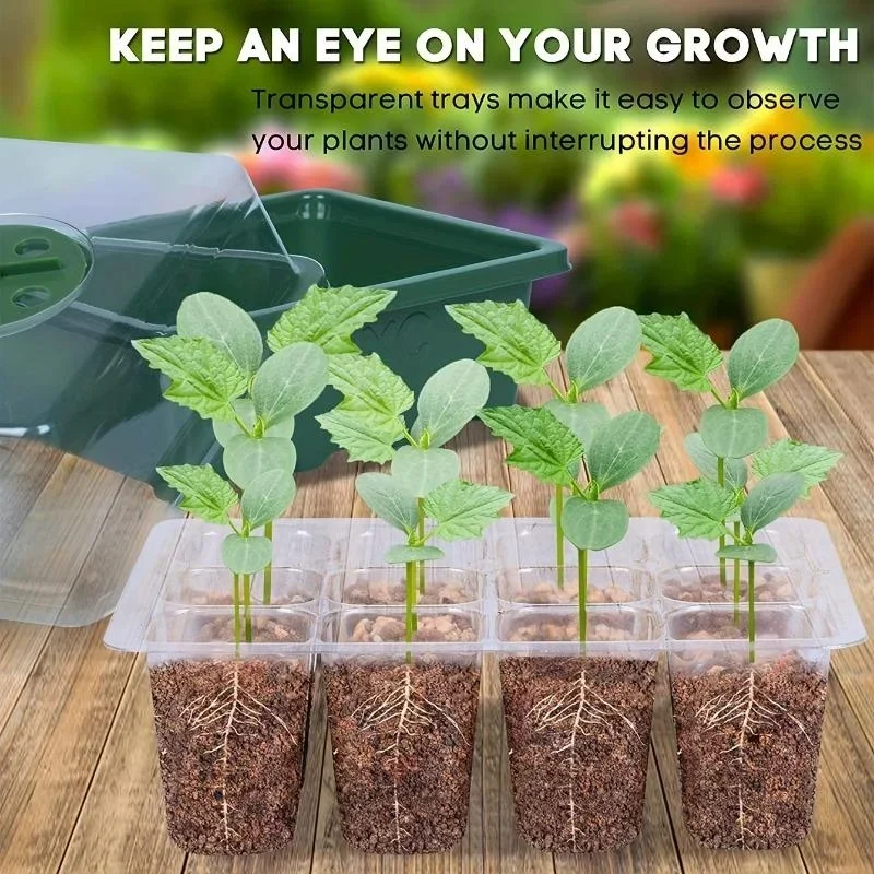 12 หลุม Seed Starter ถาด Plant - Dome Propagation Kit บทวิจารณ์และราคา