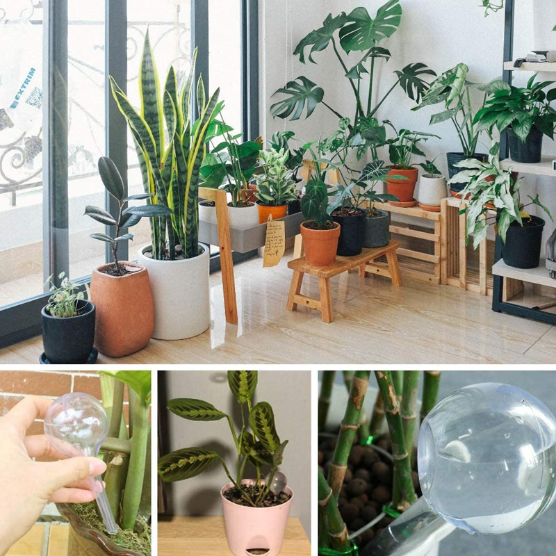 5/10PCS พืชรดน้ําอัตโนมัติหลอด - Urban Farming System บทวิจารณ์และราคา